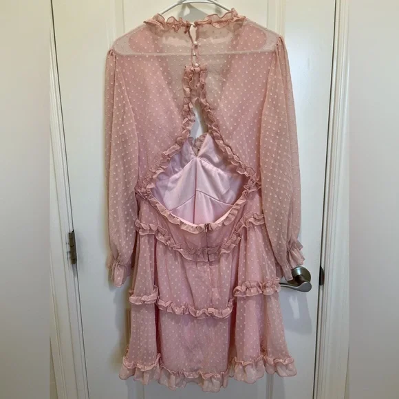 Dusty Pink Swiss Dot Mini Dress with Ruffles – Size Large - Picture 8 of 15